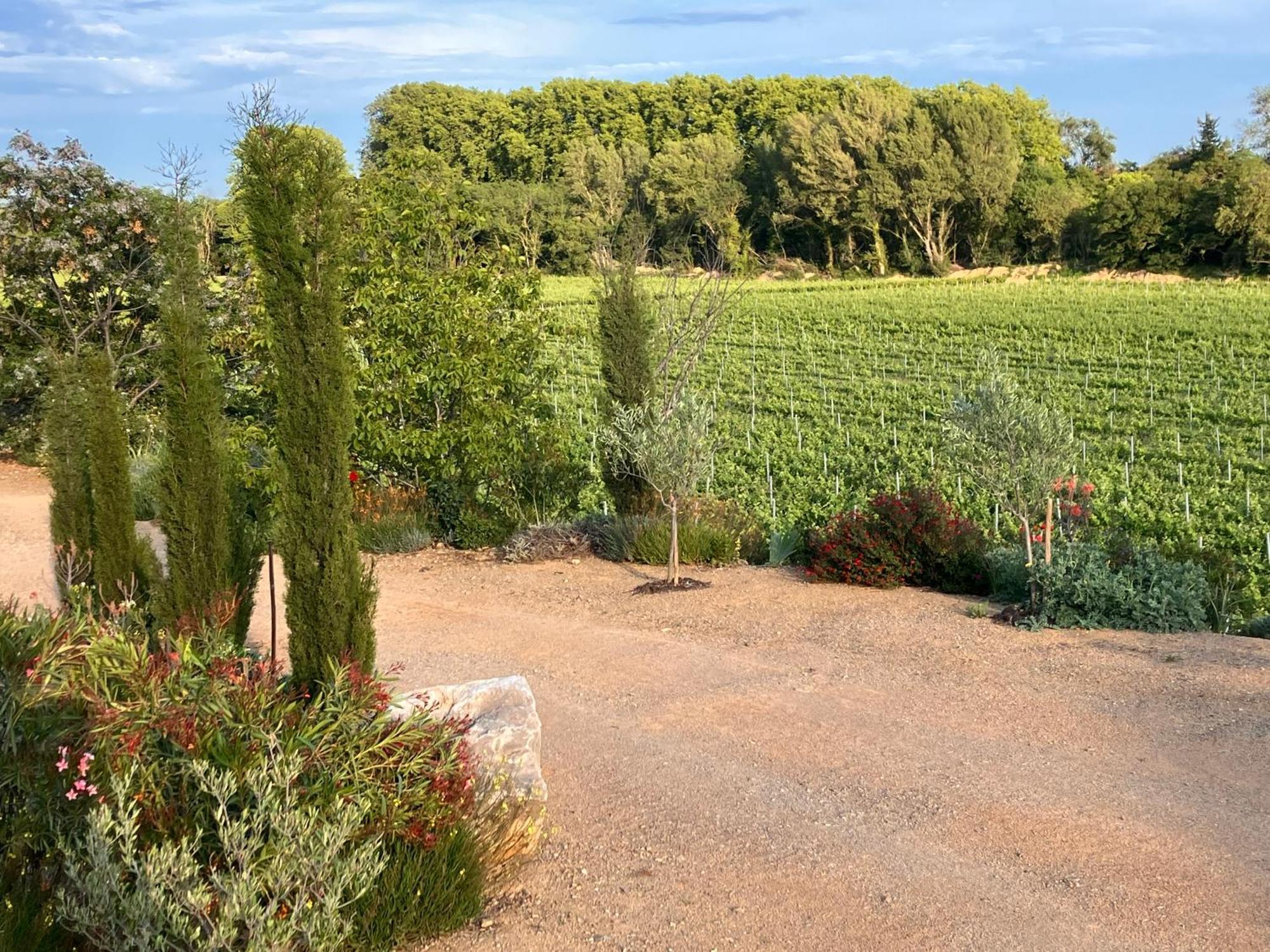 Domaine De L'Herbe Sainte Mirepeisset 外观 照片
