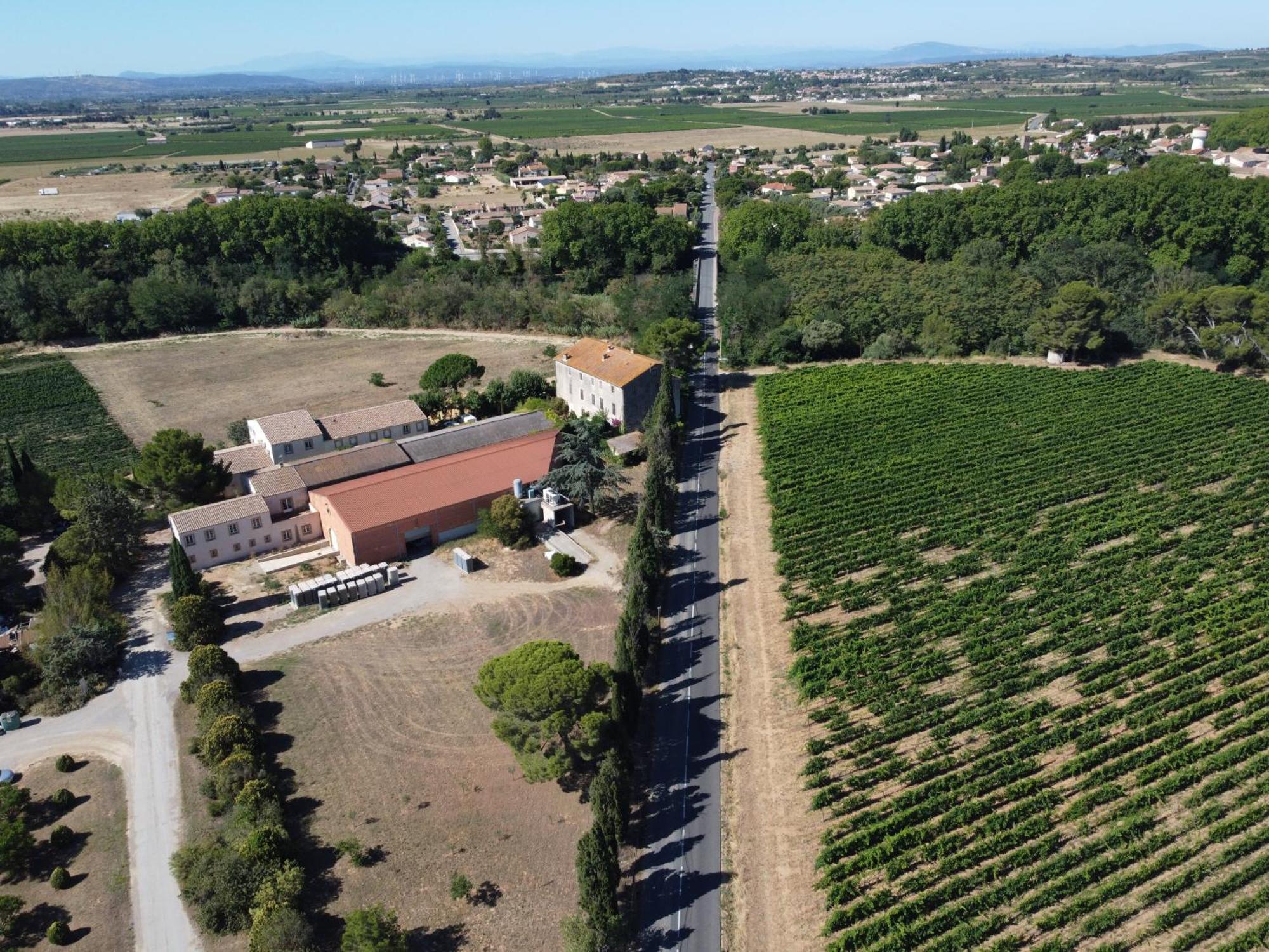 Domaine De L'Herbe Sainte Mirepeisset 外观 照片