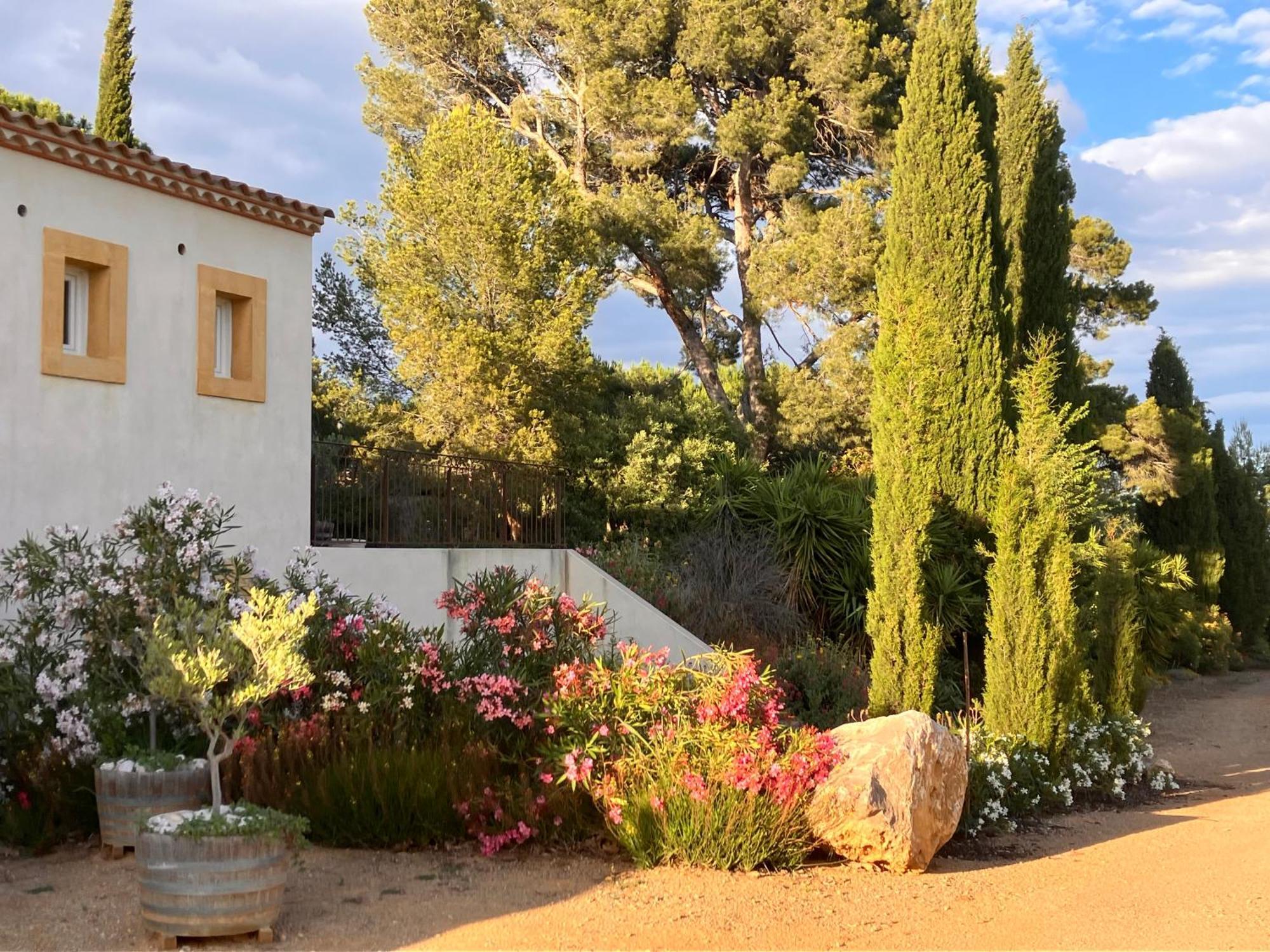 Domaine De L'Herbe Sainte Mirepeisset 外观 照片