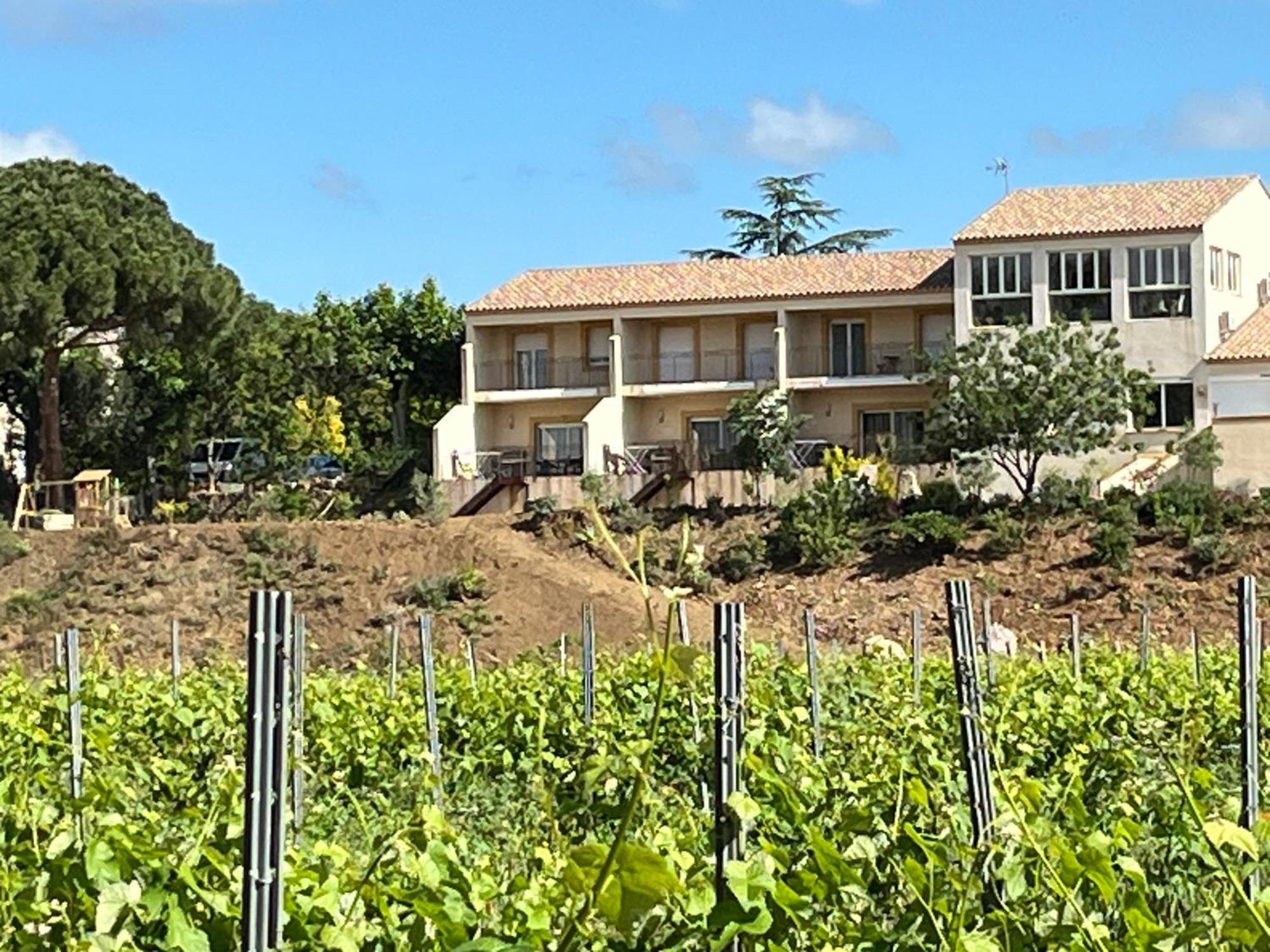 Domaine De L'Herbe Sainte Mirepeisset 外观 照片