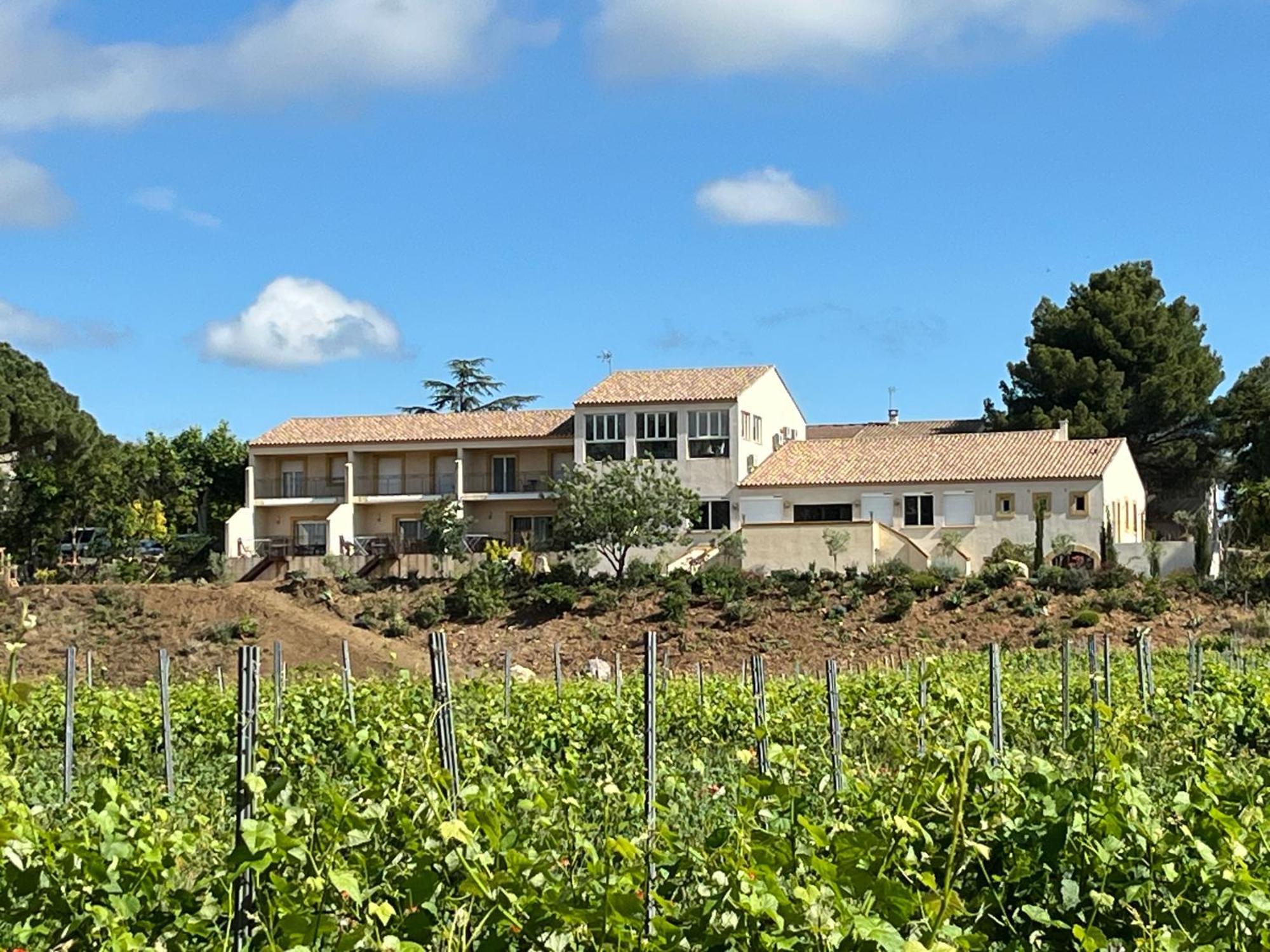 Domaine De L'Herbe Sainte Mirepeisset 外观 照片